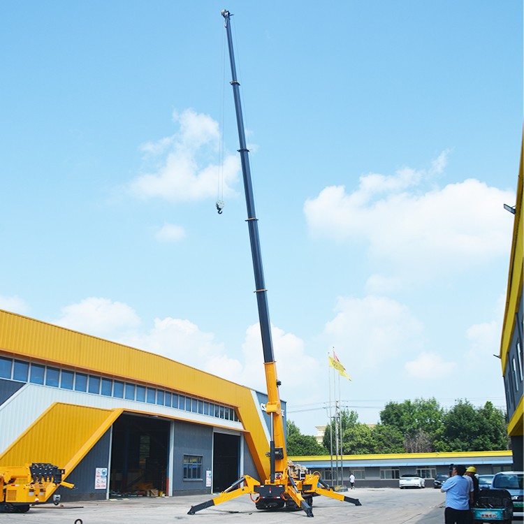 SC120 Spider Crane